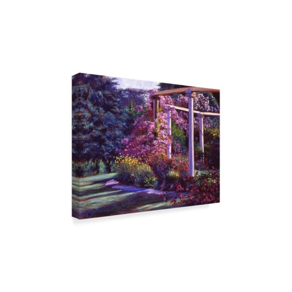 David Lloyd Glover 'Evening At The Elegant Garden' Canvas Art,14x19